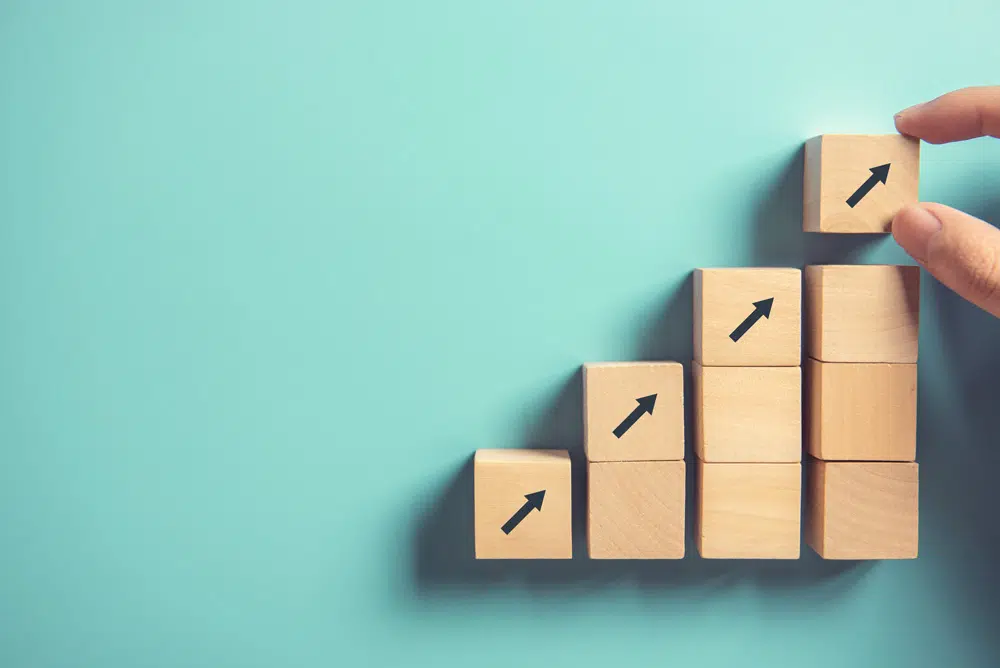 Building financial capacity